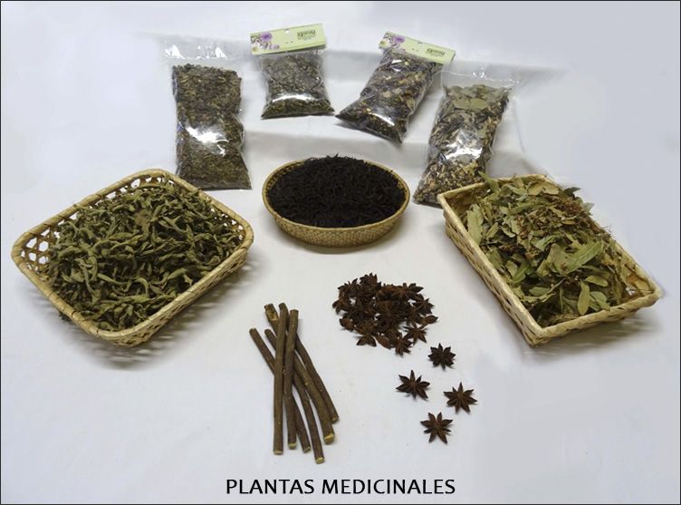 Especias Garaikunde